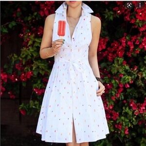 ANTHROPOLOGIE HD in Paris Paleta Shirtdress Popsicle Dress 6
